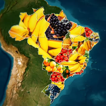 Qual a fruta mais produzida em cada estado do Brasil?