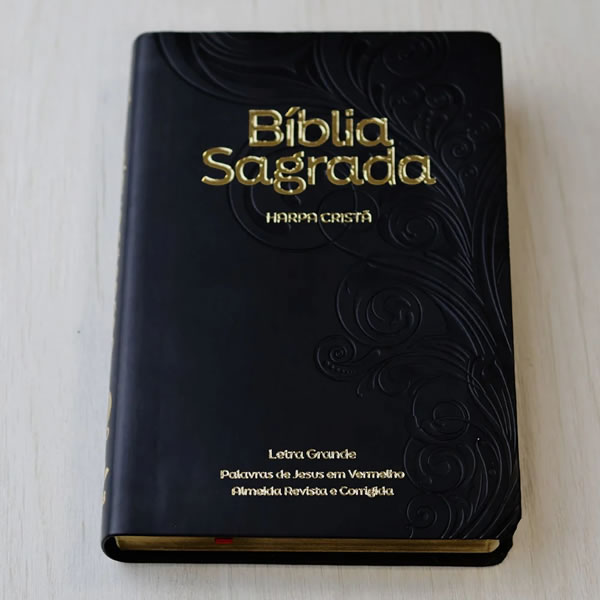 biblia sagrada