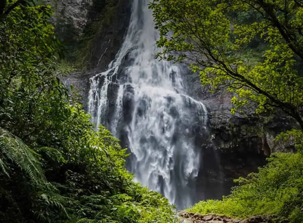 Cascata Pedra Branca - Três Forquilhas (RS)