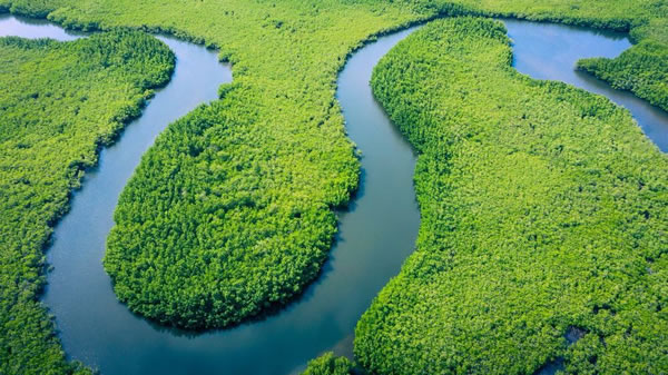 rio amazonas brasil