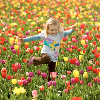 Dez curiosidades sobre a primavera