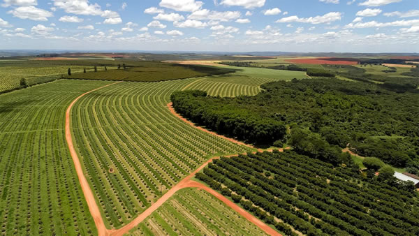 Terras agrícolas