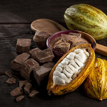 Conheça o processo em que o cacau vira chocolate