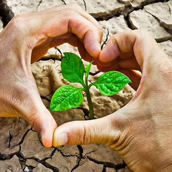 O que é sustentabilidade?