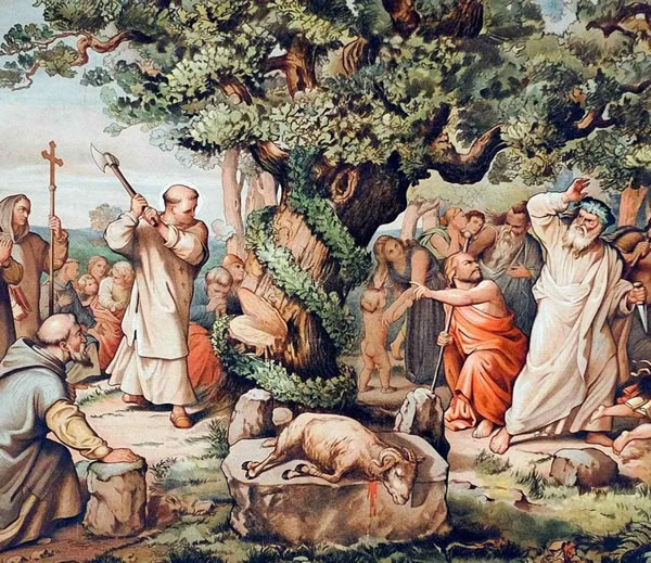 santo bonifacio arvore