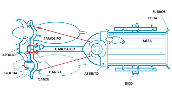 Anatomia do carro de boi