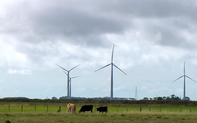 Energia eólica em propriedades rurais