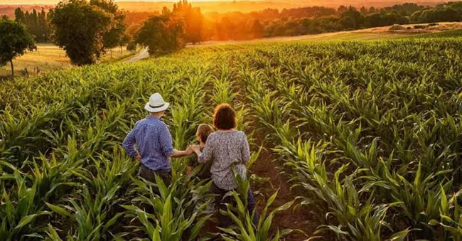 28 de julho - Dia do Agricultor