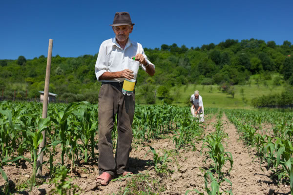 Dia do Trabalhador Rural