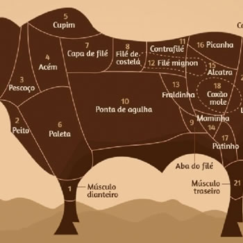 Cortes de carne bovina: classificações e características